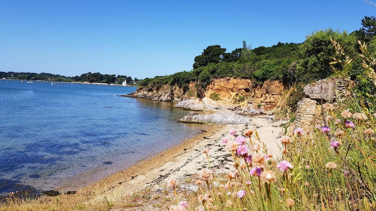 Randonnée à Arradon Découverte du Golfe du Morbihan à pied