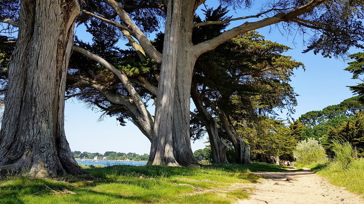 Randonnée à Arradon Découverte du Golfe du Morbihan à pied