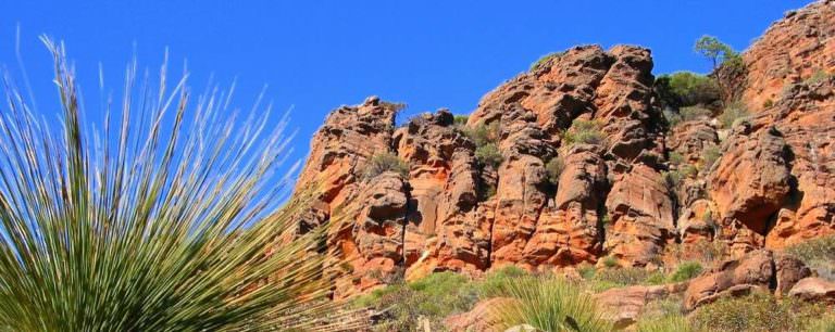 flinders_ranges