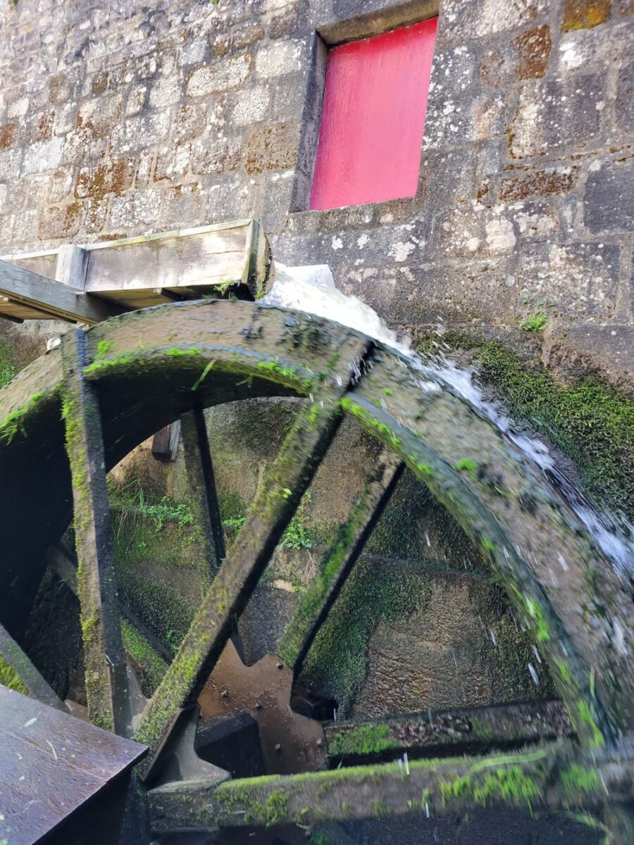 Visite en Ille-et-Vilaine : château de Fougères